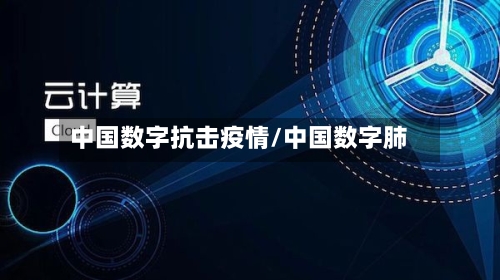 中国数字抗击疫情/中国数字肺