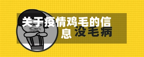 关于疫情鸡毛的信息