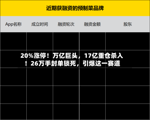 20%涨停！万亿巨头，17亿重仓杀入！26万手封单锁死	，引爆这一赛道-第2张图片