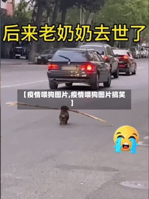 【疫情喂狗图片,疫情喂狗图片搞笑】