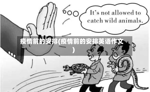 疫情前的安排(疫情前的安排英语作文)