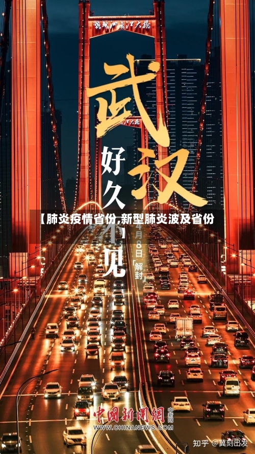 【肺炎疫情省份,新型肺炎波及省份】