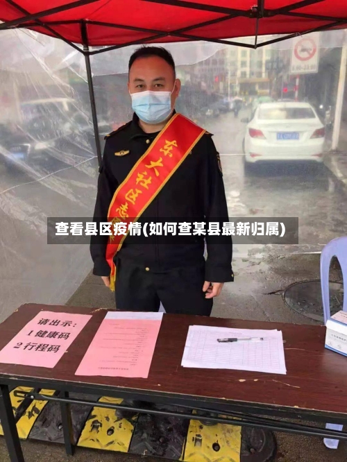 查看县区疫情(如何查某县最新归属)
