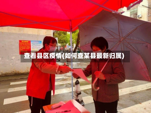 查看县区疫情(如何查某县最新归属)-第2张图片