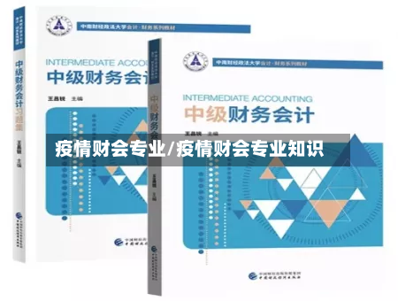 疫情财会专业/疫情财会专业知识-第3张图片
