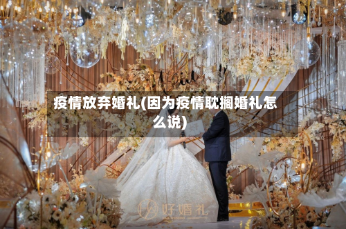 疫情放弃婚礼(因为疫情耽搁婚礼怎么说)-第2张图片