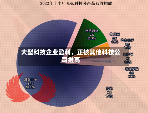 大型科技企业盈利	，正被其他科技公司推高-第2张图片