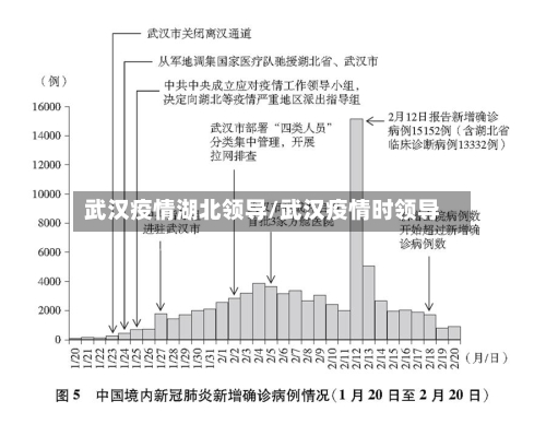 武汉疫情湖北领导/武汉疫情时领导-第2张图片