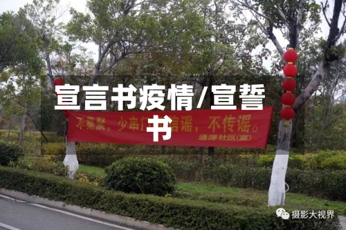 宣言书疫情/宣誓书-第2张图片