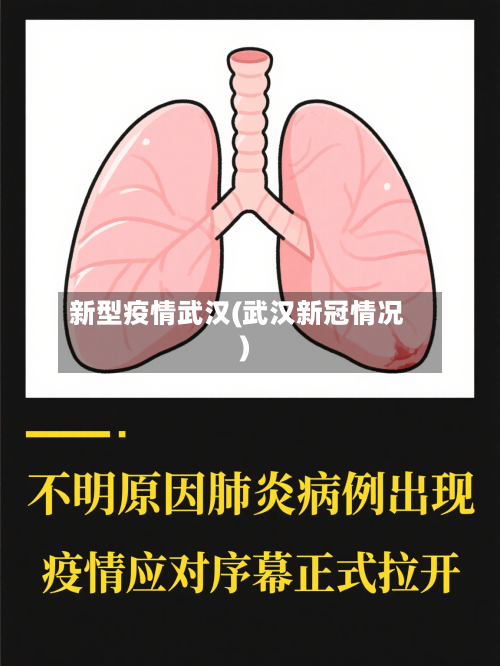 新型疫情武汉(武汉新冠情况)-第2张图片