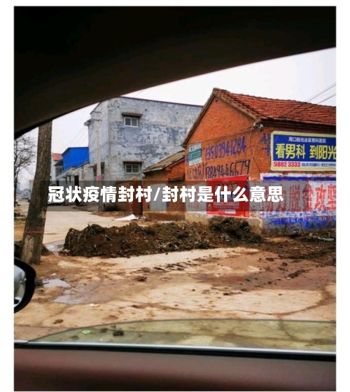 冠状疫情封村/封村是什么意思