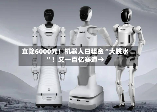 直降6000元！机器人日租金“大跳水	”！又一百亿赛道→-第2张图片