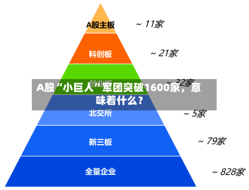 A股“小巨人”军团突破1600家，意味着什么？-第3张图片