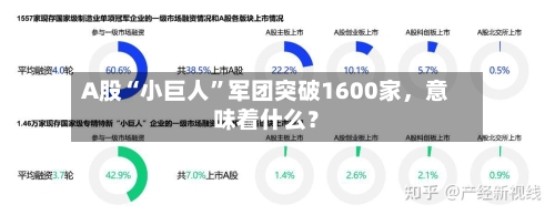 A股“小巨人”军团突破1600家，意味着什么？