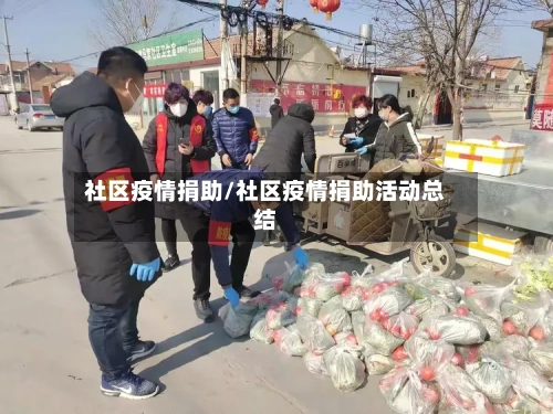 社区疫情捐助/社区疫情捐助活动总结