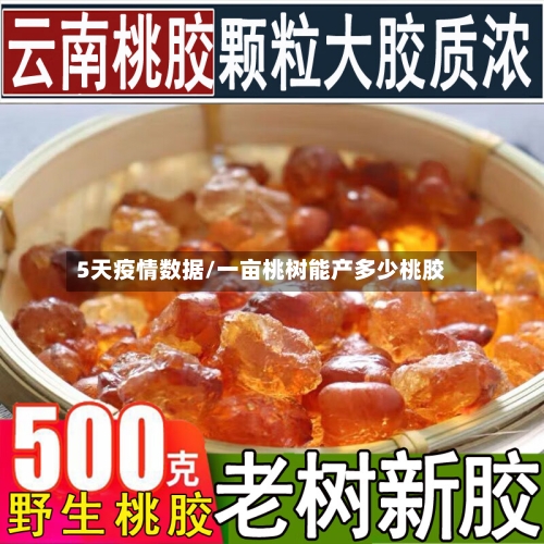 5天疫情数据/一亩桃树能产多少桃胶
