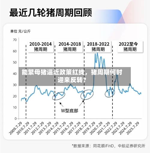 能繁母猪逼近政策红线，猪周期何时迎来反转？-第2张图片