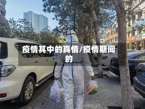疫情其中的真情/疫情期间的-第2张图片