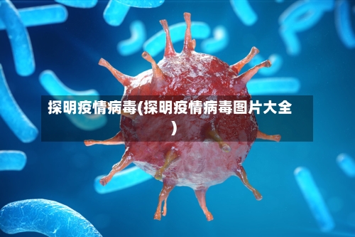 探明疫情病毒(探明疫情病毒图片大全)-第2张图片