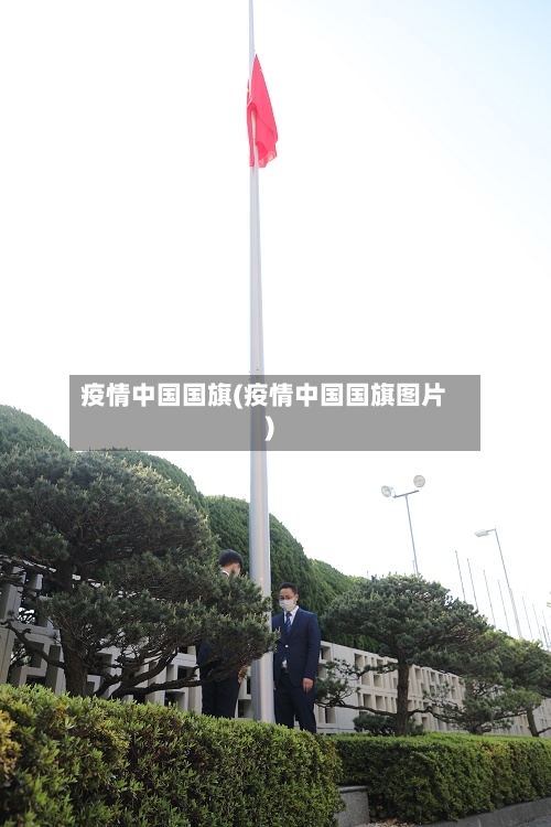 疫情中国国旗(疫情中国国旗图片)