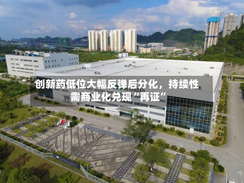 创新药低位大幅反弹后分化，持续性需商业化兑现“再证”-第2张图片