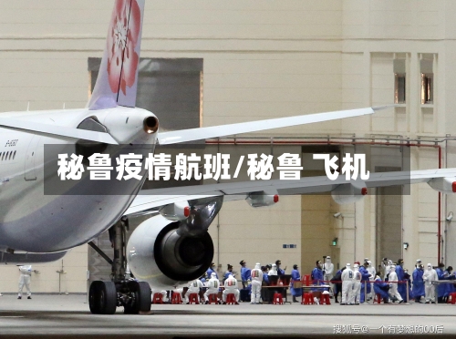 秘鲁疫情航班/秘鲁 飞机-第2张图片