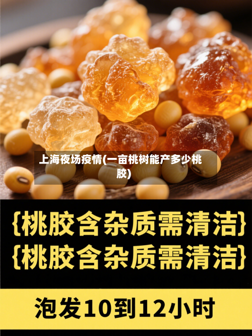 上海夜场疫情(一亩桃树能产多少桃胶)-第2张图片