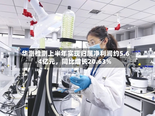 华测检测上半年实现归属净利润约5.64亿元	，同比增长20.63%-第2张图片