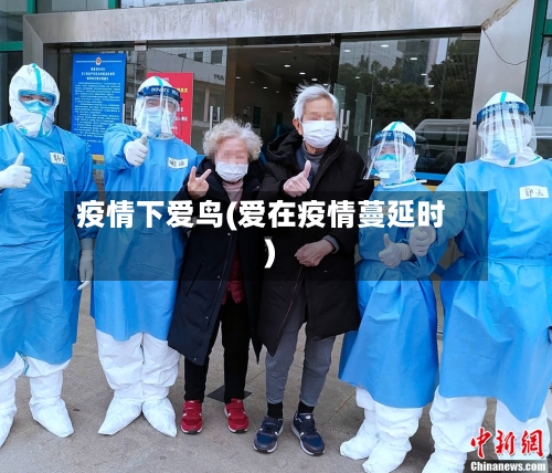 疫情下爱鸟(爱在疫情蔓延时)-第2张图片