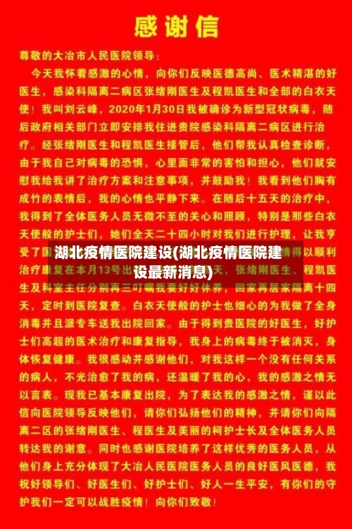 湖北疫情医院建设(湖北疫情医院建设最新消息)-第2张图片