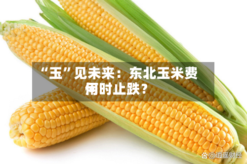 “玉”见未来：东北玉米费用何时止跌？-第2张图片
