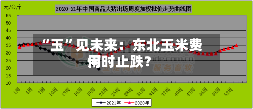 “玉”见未来：东北玉米费用何时止跌？-第3张图片