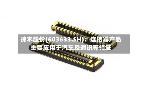 徕木股份(603633.SH):连接器产品主要应用于汽车及通讯等领域-第2张图片