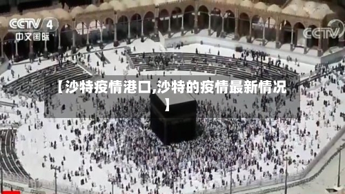 【沙特疫情港口,沙特的疫情最新情况】-第3张图片