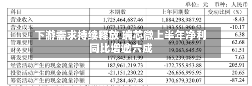 下游需求持续释放 瑞芯微上半年净利同比增逾六成-第2张图片