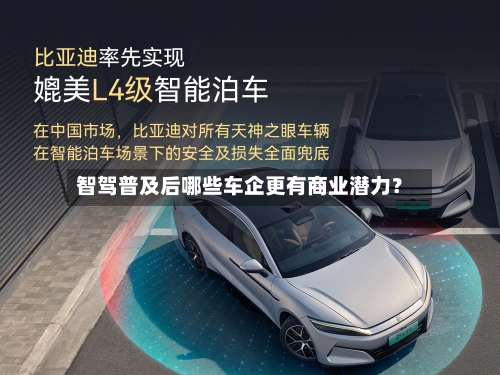 智驾普及后哪些车企更有商业潜力？-第2张图片