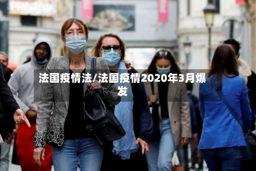 法国疫情法/法国疫情2020年3月爆发-第2张图片