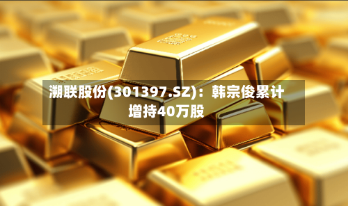 溯联股份(301397.SZ)：韩宗俊累计增持40万股-第2张图片