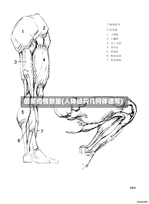 国家疫情数量(人体结构几何体速写)