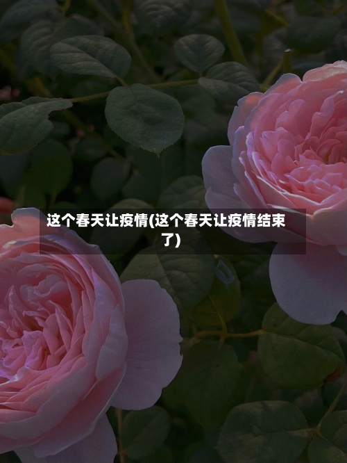 这个春天让疫情(这个春天让疫情结束了)