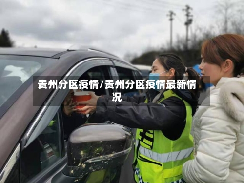 贵州分区疫情/贵州分区疫情最新情况-第3张图片