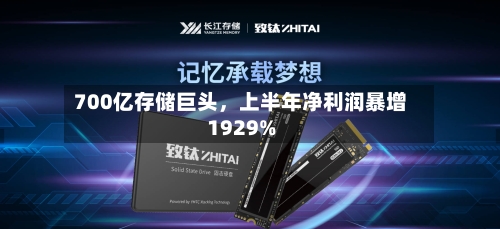 700亿存储巨头，上半年净利润暴增1929%-第3张图片
