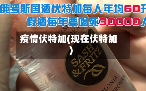 疫情伏特加(现在伏特加)-第2张图片