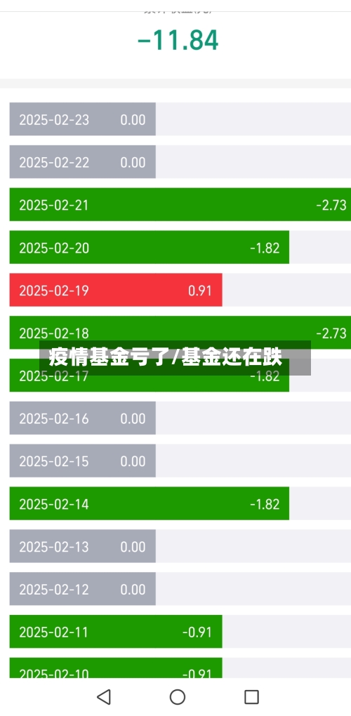 疫情基金亏了/基金还在跌-第2张图片