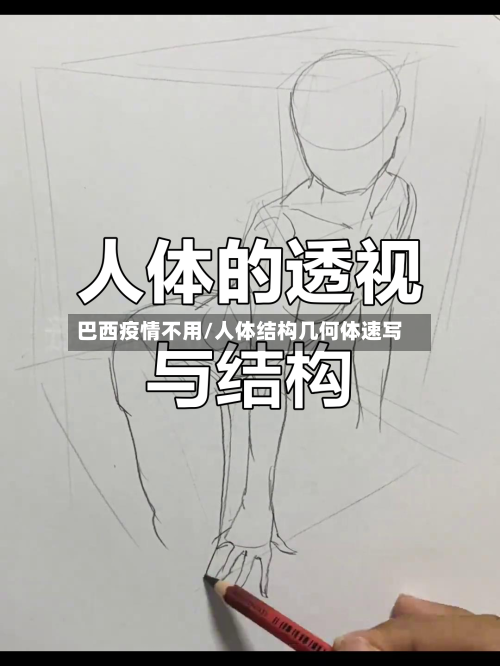 巴西疫情不用/人体结构几何体速写