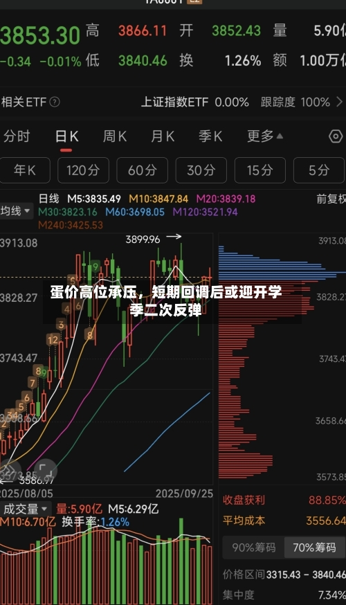 蛋价高位承压	，短期回调后或迎开学季二次反弹-第2张图片