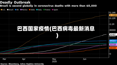 巴西国家疫情(巴西病毒最新消息)-第3张图片