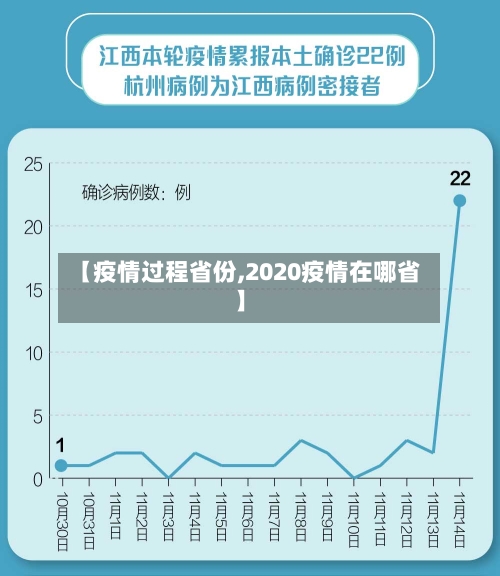 【疫情过程省份,2020疫情在哪省】
