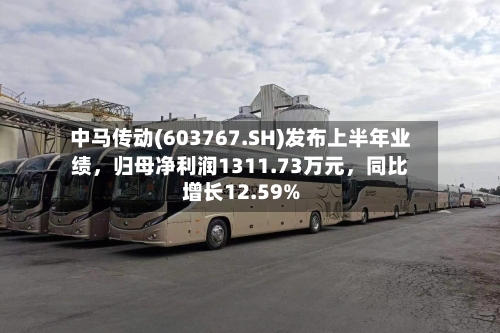 中马传动(603767.SH)发布上半年业绩，归母净利润1311.73万元，同比增长12.59%-第3张图片
