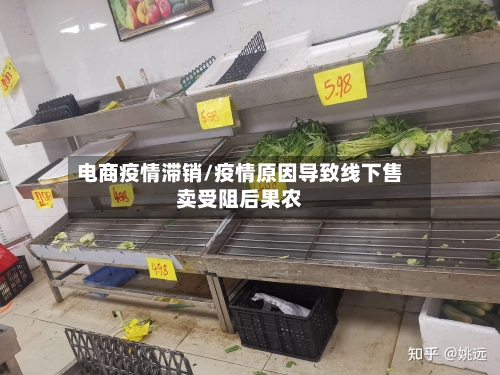 电商疫情滞销/疫情原因导致线下售卖受阻后果农-第2张图片